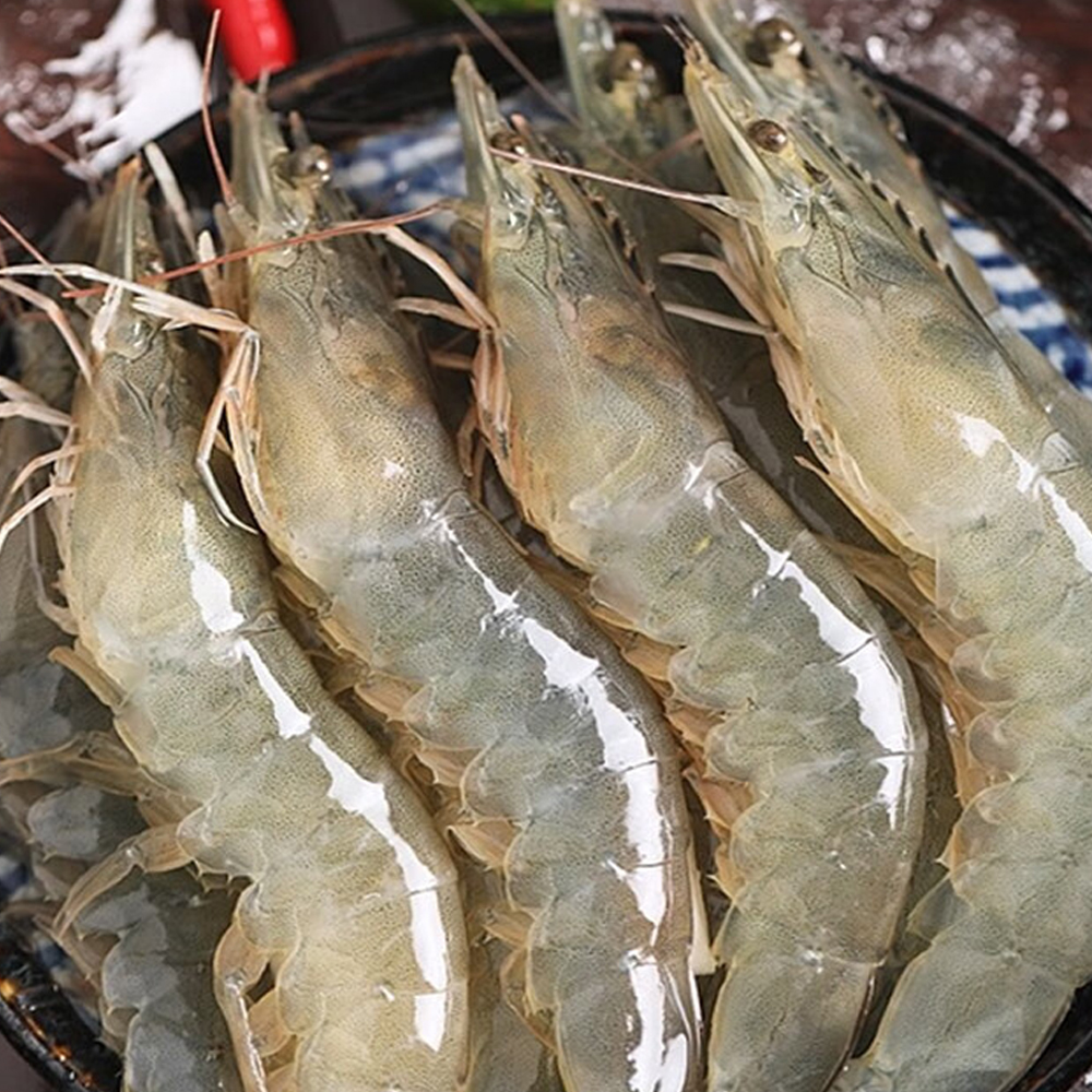 海捕大虾  3斤