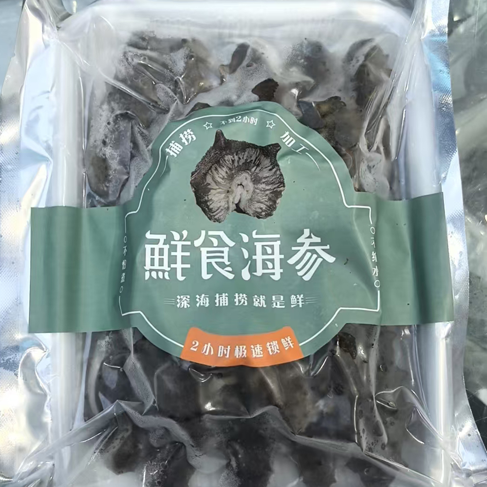34年匠心·大连安心鲜食海参 20头